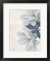 Magnolia Blues 2 Framed Print