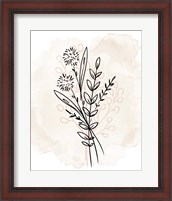 Framed Floral Sketch 1