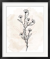 Framed Floral Sketch 2