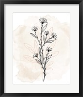 Floral Sketch 2 Framed Print