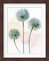 Framed Watercolor Dandelion
