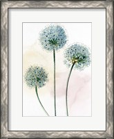 Framed Watercolor Dandelion