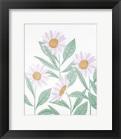 Framed Daisies Floral