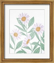 Framed Daisies Floral