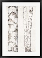 Framed Birches 2