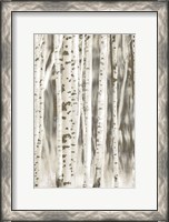 Framed Birches 2