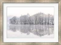 Framed Mist Lake