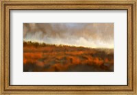 Framed Marshland