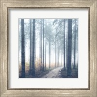 Framed Forest Road