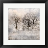 Framed Winter Frost 1