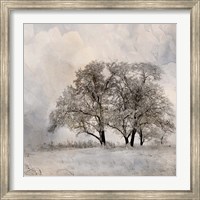 Framed Winter Frost 2