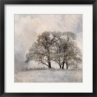 Winter Frost 2 Framed Print