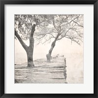 Framed Tree Pier