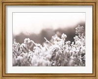 Framed Cashmere Frost