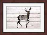Framed Deer 1