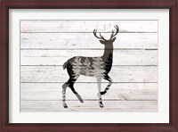 Framed Deer 1