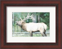 Framed Linen Pressed Elk