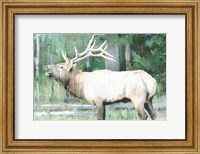 Framed Linen Pressed Elk