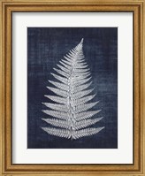 Framed Fern 1