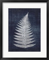 Framed Fern 1