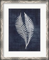 Framed Fern 2