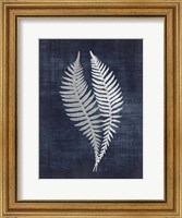 Framed Fern 2