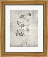Framed Sepia Botanical 3