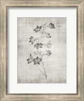 Framed Sepia Botanical 3