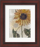 Framed Sunflower 2