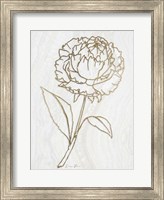 Framed Golden Peony 1