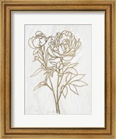 Framed Golden Peony 2