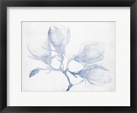 Framed Floral Study