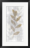 Botanical Stem 1 Framed Print