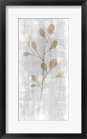 Framed Botanical Stem 2