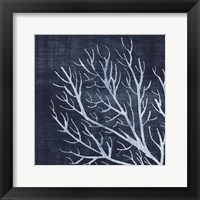 Seaweed 1 Framed Print
