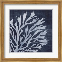 Framed Seaweed 2