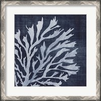 Framed Seaweed 2