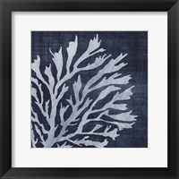 Seaweed 2 Framed Print