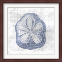 Framed Sand Dollar 2 v2