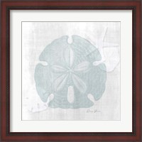 Framed Sand Dollar 1