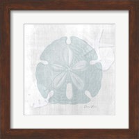 Framed Sand Dollar 1