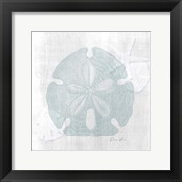 Sand Dollar 1 Framed Print