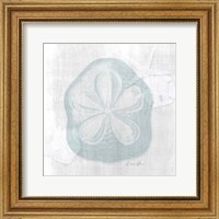 Framed Sand Dollar 2