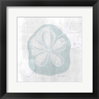 Sand Dollar 2 Framed Print