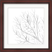 Framed White Seaweed 1