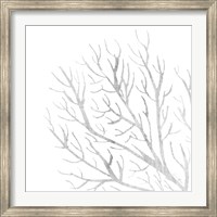 Framed White Seaweed 1