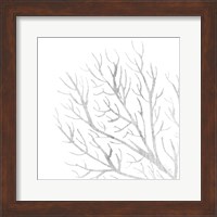 Framed White Seaweed 1