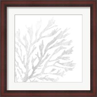 Framed White Seaweed 2