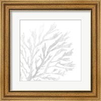 Framed White Seaweed 2