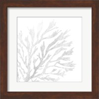 Framed White Seaweed 2
